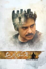 Agnyaathavaasi (2018) Telugu SUNNXT WEB-DL – [1080p, 720p, 576p, 480p] – AVC/HEVC – [DD+5.1 – 192kbps & AAC 2.0] – Esubs