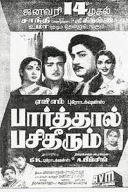 Parthal Pasi Theerum (1962) Tamil TRUE WEB-DL – [1080p, 720p, 576p] – AVC – (DD+2.0 – 224Kbps & AAC 2.0) – ESub